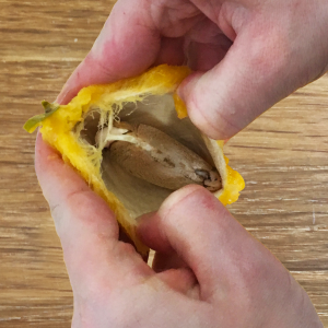 mango2