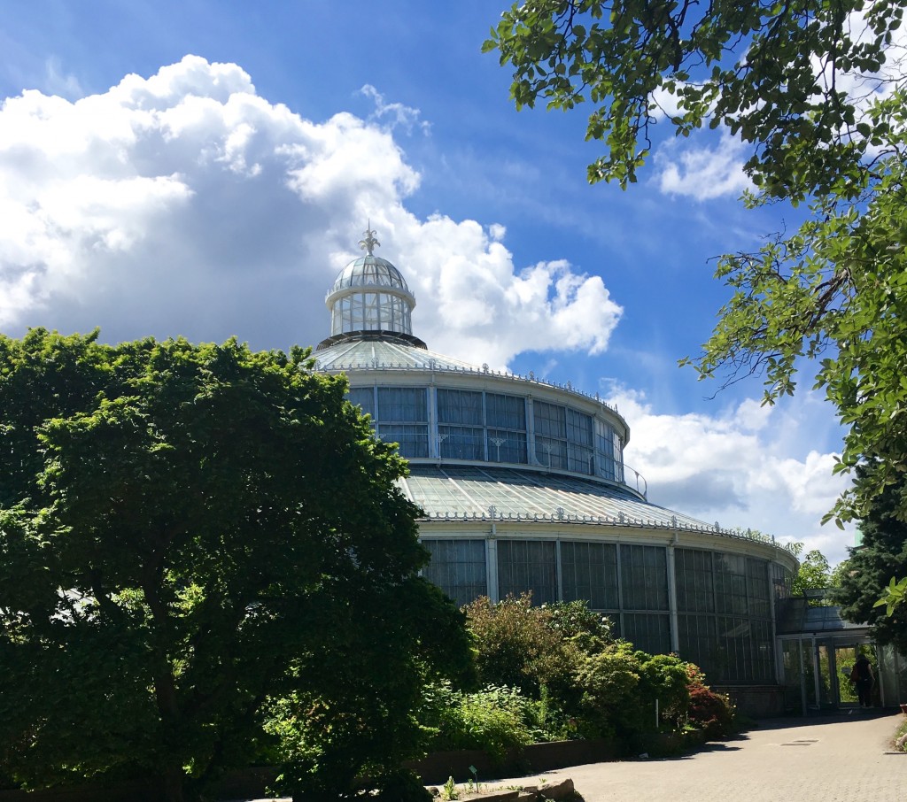 botanisk have - greenhouse